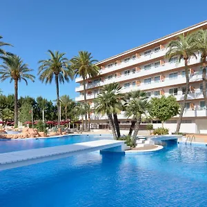 Tent Calvia Magalluf